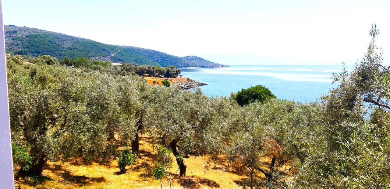Villa Leonidas Greecefiloxenia Lefokastro Exterior foto
