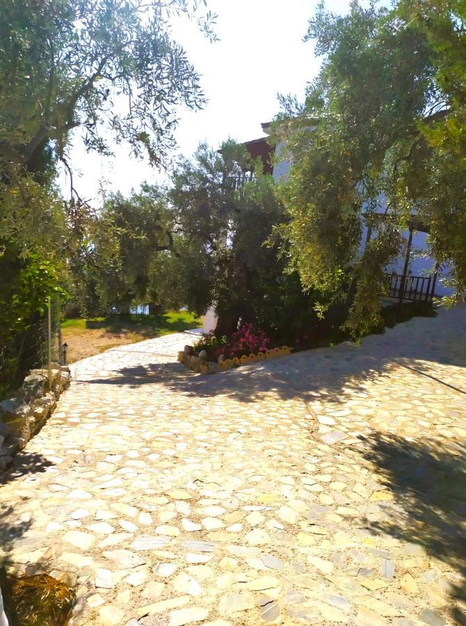 Villa Leonidas Greecefiloxenia Lefokastro Exterior foto