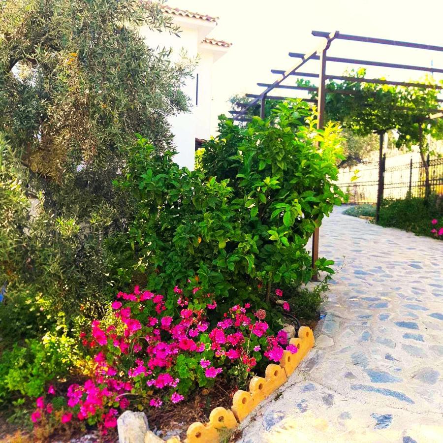 Villa Leonidas Greecefiloxenia Lefokastro Exterior foto
