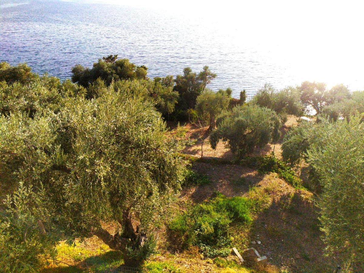 Villa Leonidas Greecefiloxenia Lefokastro Exterior foto